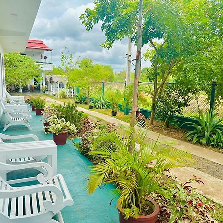 New Peacock Resort Dambulla Ngoại thất bức ảnh
