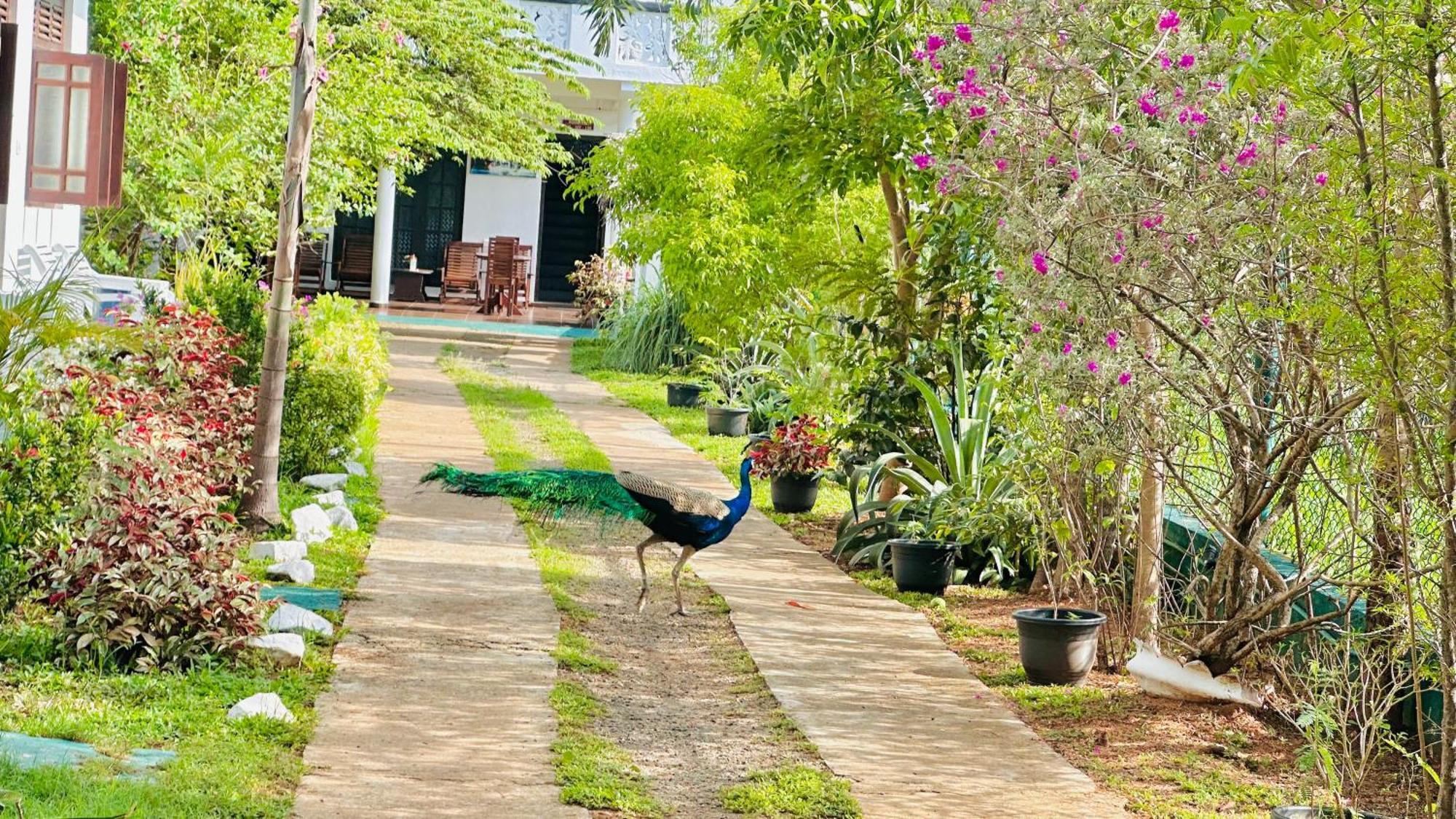 New Peacock Resort Dambulla Ngoại thất bức ảnh