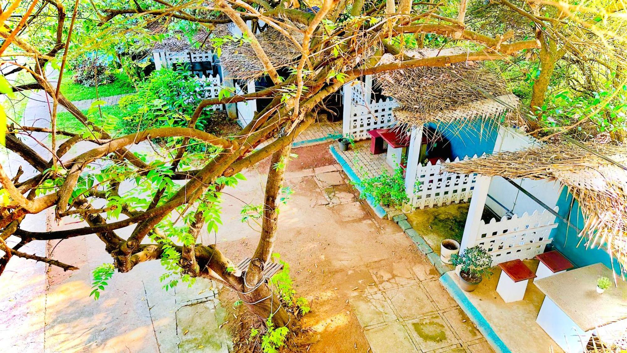 New Peacock Resort Dambulla Ngoại thất bức ảnh